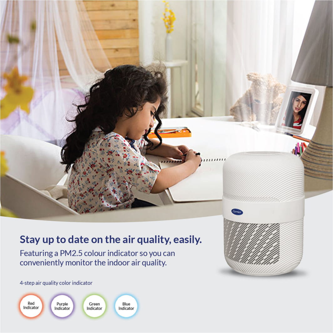 Máy lọc không khí Carrier - AP1211